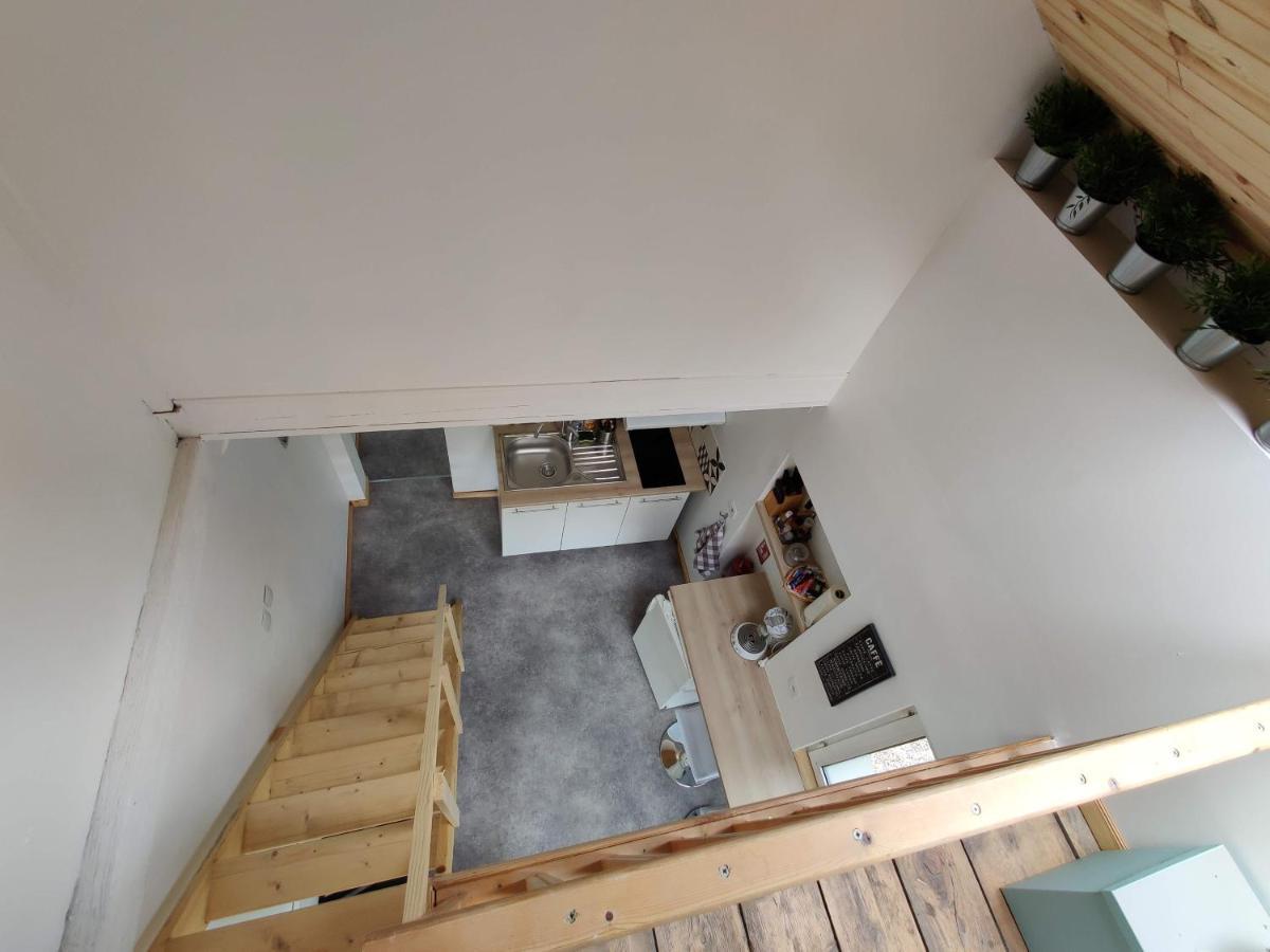 Studio Mezzanine Chez Papou, Ville Et Foret Estrasburgo Exterior foto